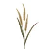 Antique Fountain Grass -Sophie Allport 01920cr gr antique fountain grass cut out high res square