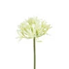 White Agapanthus 1 White Agapanthus -Sophie Allport BB20104WH