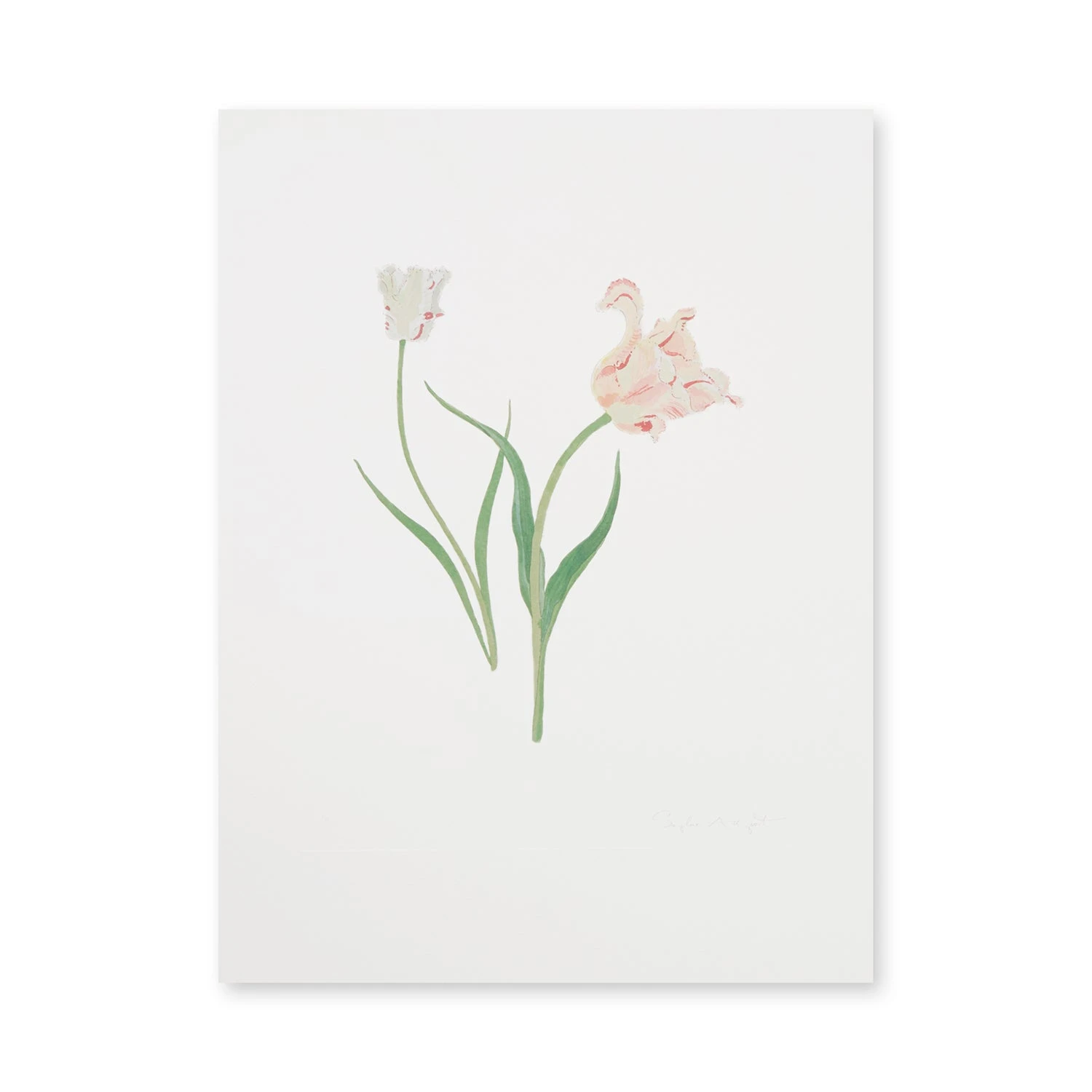 Tulips Print 6 Tulips Print - Image 4