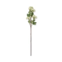 Faux Viburnum - Green -Sophie Allport SS24 ABX5752GR CUTOUT 001f1188 b63d 4474 aee0 7b8aab1f9e6c