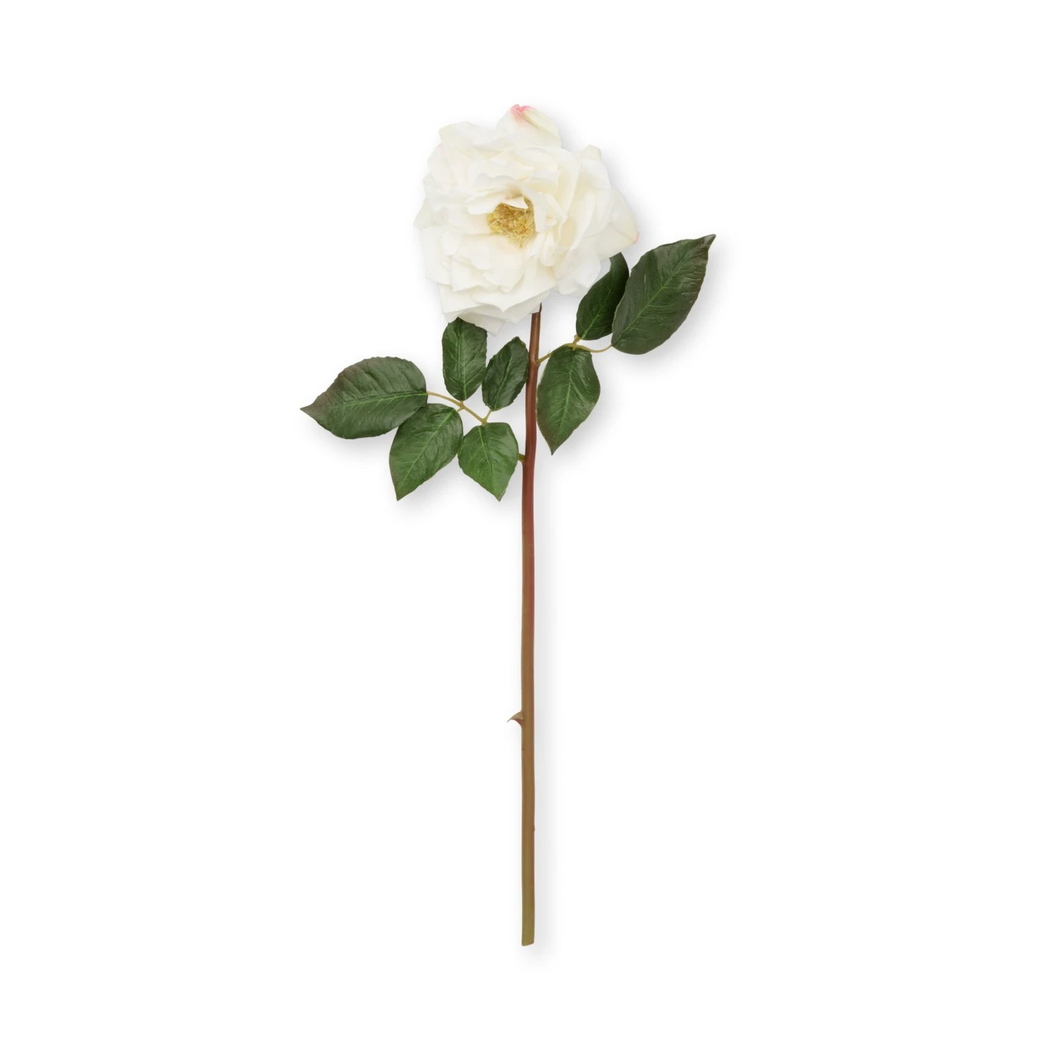 Faux Garden Rose - White 5 Faux Garden Rose - White - Image 3