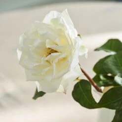 Faux Garden Rose - White 6 Faux Garden Rose - White -Sophie Allport SS24 ABY3108WH DETAIL