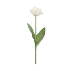 Faux Parrot Tulip - White -Sophie Allport SS24 ABY5005WH CUTOUT
