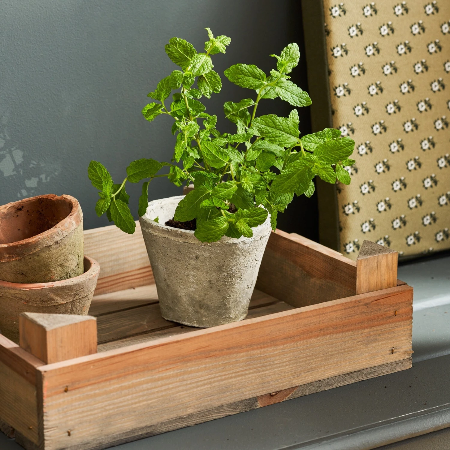 Aged Stone Terracotta Pot 3 Aged Stone Terracotta Pot