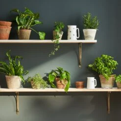 Aged Stone Terracotta Pot 16 Aged Stone Terracotta Pot -Sophie Allport SS24 Y1009 Y1008 Y1007 Y1014 Y1013 Y1012 SQUARE