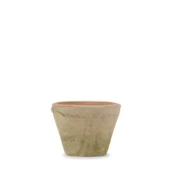 Aged Terracotta Pot 15 Aged Terracotta Pot -Sophie Allport SS24 Y1012 CUTOUT 78742fb9 6e0b 4f84 9b1f 6256a9addfe0