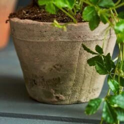 Sophie Allport -Sophie Allport SS24 Y1012 DETAIL SQUARE