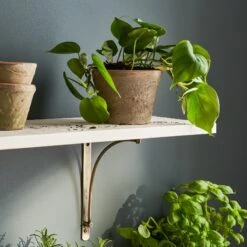 Aged Terracotta Pot 13 Aged Terracotta Pot -Sophie Allport SS24 Y1013 SQUARE