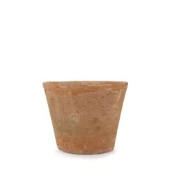 Aged Terracotta Pot 17 Aged Terracotta Pot -Sophie Allport SS24 Y1014 CUTOUT