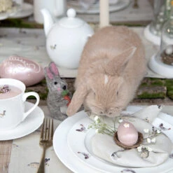 Hare Napkins (Set Of 4) 13 Hare Napkins (Set Of 4) -Sophie Allport all25300 all25820 hare napkin set of 4 and fabric placemat easter bunny 2 lifestyle high res square