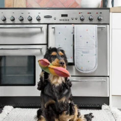 Multicoloured Hearts Tea Towel 11 Multicoloured Hearts Tea Towel -Sophie Allport all81601 all81100 hearts multicoloured tea towel and double oven glove 2 lifestyle high res square 000d17b1 539f 449f b883 c5fa6514c159