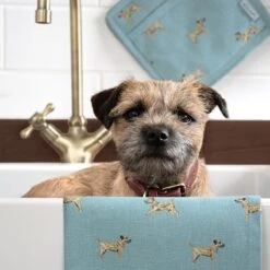 Terriers Tea Towel (Set Of 2) 14 Terriers Tea Towel (Set Of 2) -Sophie Allport all98602 all98125 border terrier tea towel set of 2 and pot grab 2 lifestyle high res square 1b725955 1d0b 4fb0 bc0b 30c62e7e8c55