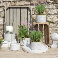 Bees Plant Pot 18 Bees Plant Pot -Sophie Allport bees gardening decorative stone collection lifestyle high res square f5001fcd b0bb 4417 8b65 22323848c5bf