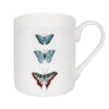 Butterflies Solo Mug -Sophie Allport bm6603 butterflies mug standard solo cut out high res square