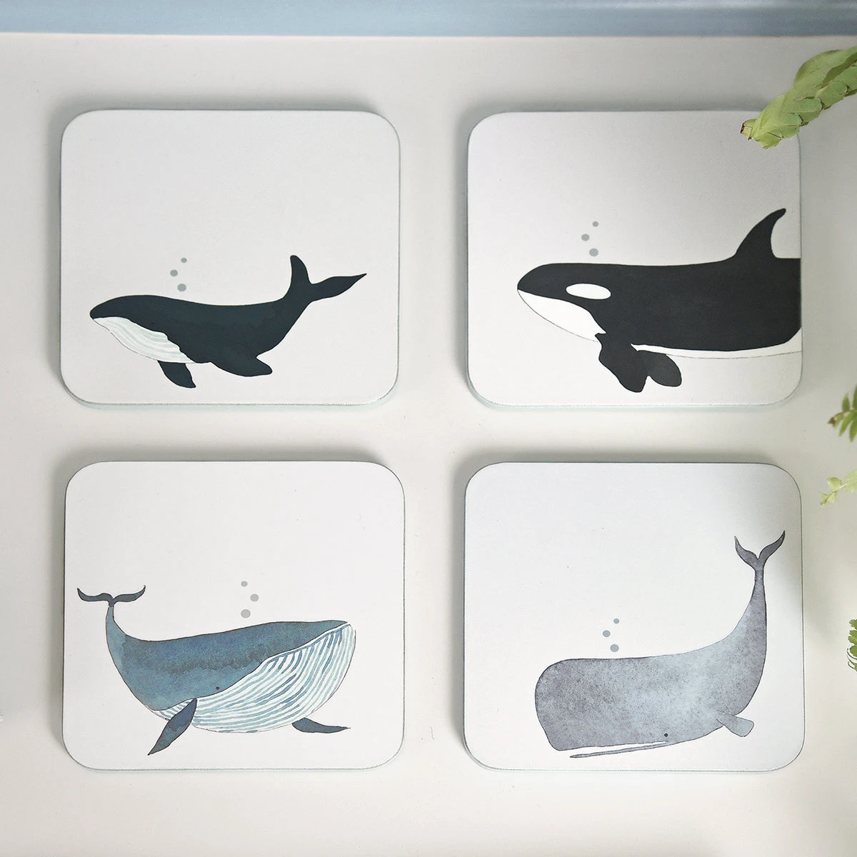 Whales Coasters (Set Of 4) 4 Whales Coasters (Set Of 4) - Image 2
