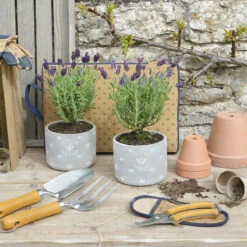 Bees Garden Tool Set -Sophie Allport cpp3614u cpp6614u bees and butterflies plant pot unfinished 14cm lifestyle high res square ac62cb03 e38b 410d bfaf a5ca9ffb90cd