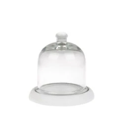 Mini Glass Cloche With Wooden Base