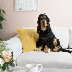 Hearts Decorative Cushion 10 Hearts Decorative Cushion -Sophie Allport heart cushion with love dog on sofa heart standard mug lifestyle high res square jpg