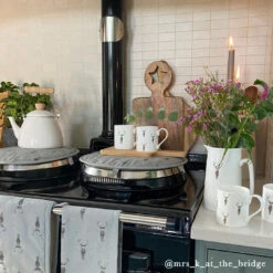 Highland Stag Solo Mug -Sophie Allport highland stag collection influencer