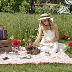 Strawberries Melamine Dinner Plate 18 Strawberries Melamine Dinner Plate -Sophie Allport kpb97145 mpl9710 mpl9708 pt9726 strawberries picnic summer landscape lifestyle high res square 101c4a04 e197 4b57 bcba 1512d013dbe6