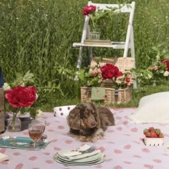 Strawberries Melamine Dinner Plate 17 Strawberries Melamine Dinner Plate -Sophie Allport kpb97145 poly97525 mbk9703 pt9726 all97602 strawberries picnic 3 lifestyle high res square 1 9f8d9d2a b665 4065 8e9c c8da44a74800