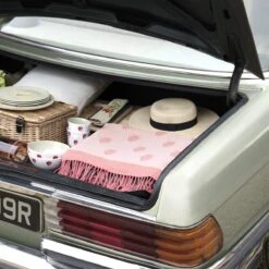 Strawberries Melamine Side Plate -Sophie Allport kpb97145 strawberries picnic blanket lifestyle high res square c5d6a222 950d 4106 9710 5049a3836bb2