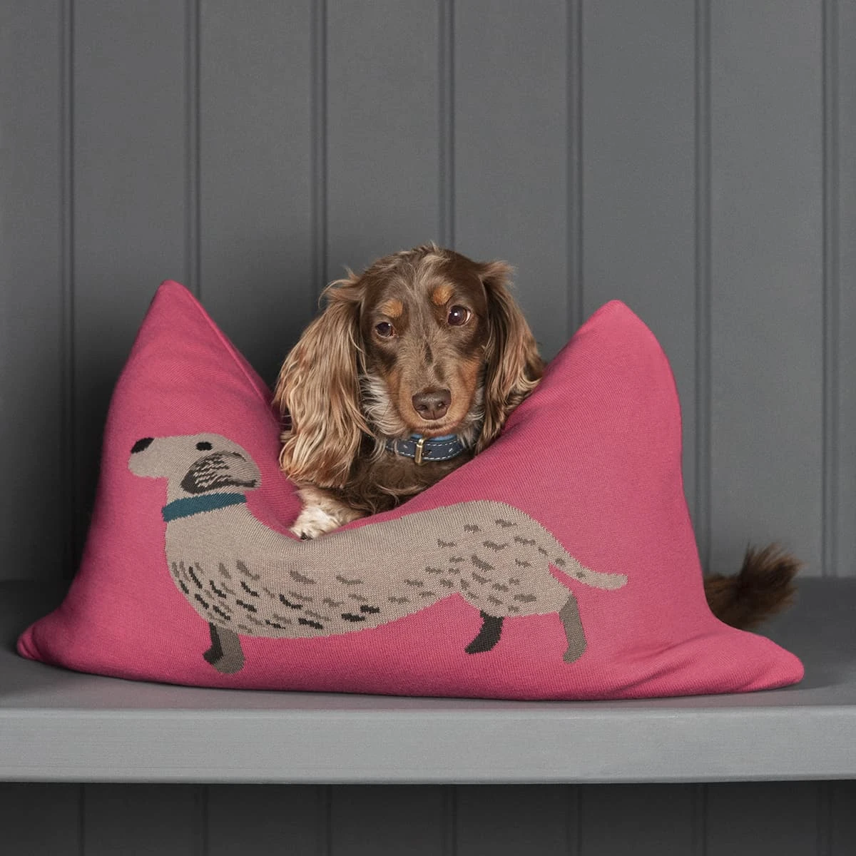 Dachshund Knitted Cushion 4 Dachshund Knitted Cushion - Image 2