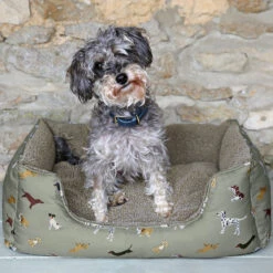 Fetch Pet Bed -Sophie Allport poly72755 fetch pet bed medium 2 lifestyle high res square