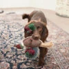 Pheasant Rope Dog Toy -Sophie Allport ptd1925 pheasant dog toy lifestyle web