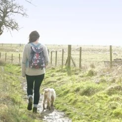 Dachshund Cashmere Jumper 15 Dachshund Cashmere Jumper -Sophie Allport puwba3836 dachshund jumper and peony rucksack lifestyle high res square f7dd4702 a423 4c01 808f 036d83073b30