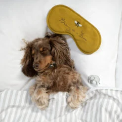 Bees Sleep Mask