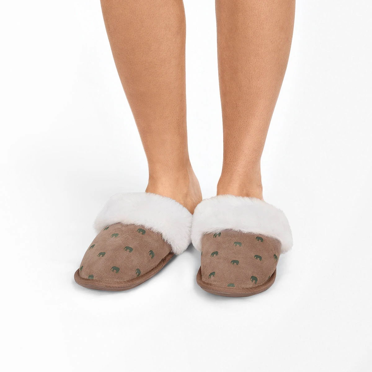 Elephant Slippers 5 Elephant Slippers - Image 3