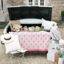 Strawberries Melamine Dinner Plate 19 Strawberries Melamine Dinner Plate -Sophie Allport strawberries picnic car collection lifestyle high res square 5f7cf5c9 7e23 4417 8384 ff7bb6113f16