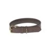 Woof Leather Dog Collar -Sophie Allport vplc32m woof collar medium leather stamped cut out high res square